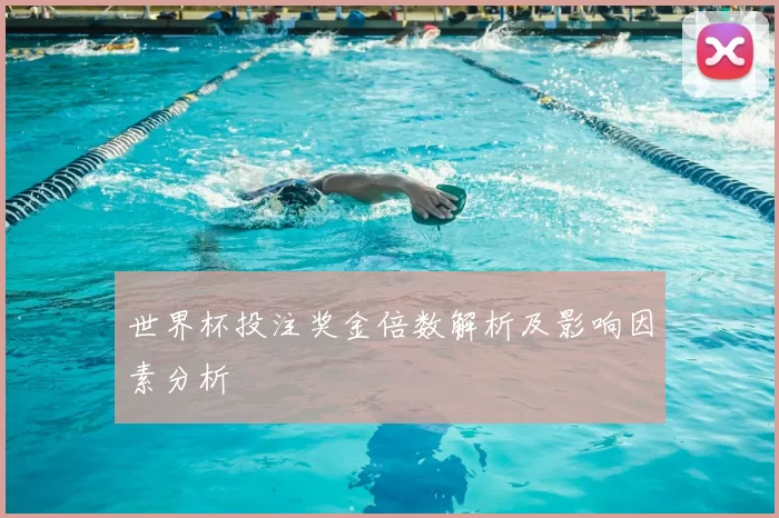 世界杯投注奖金倍数解析及影响因素分析