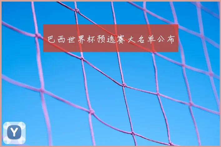巴西世界杯预选赛大名单公布